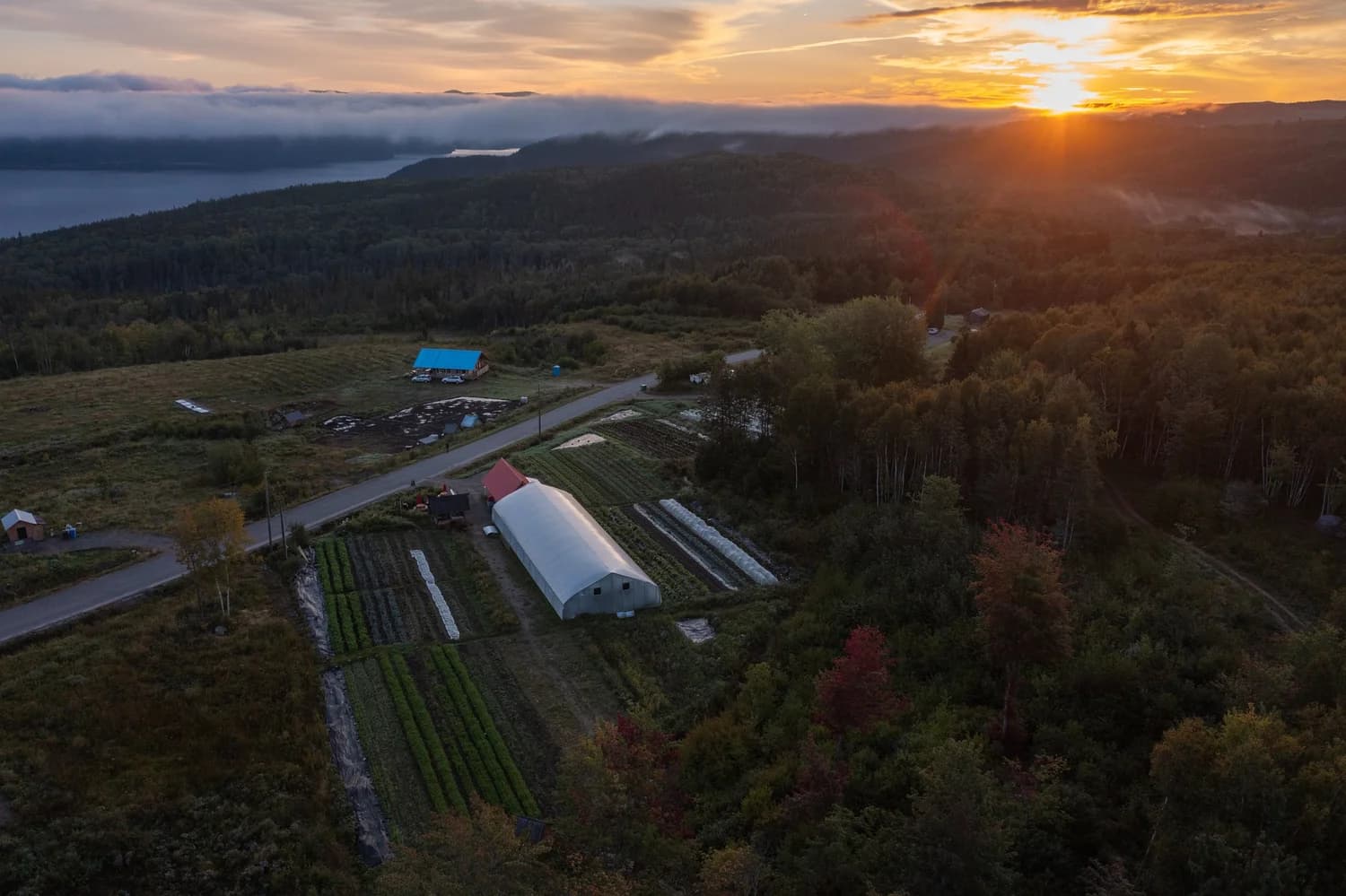 Aerial view of a market garden at sunset