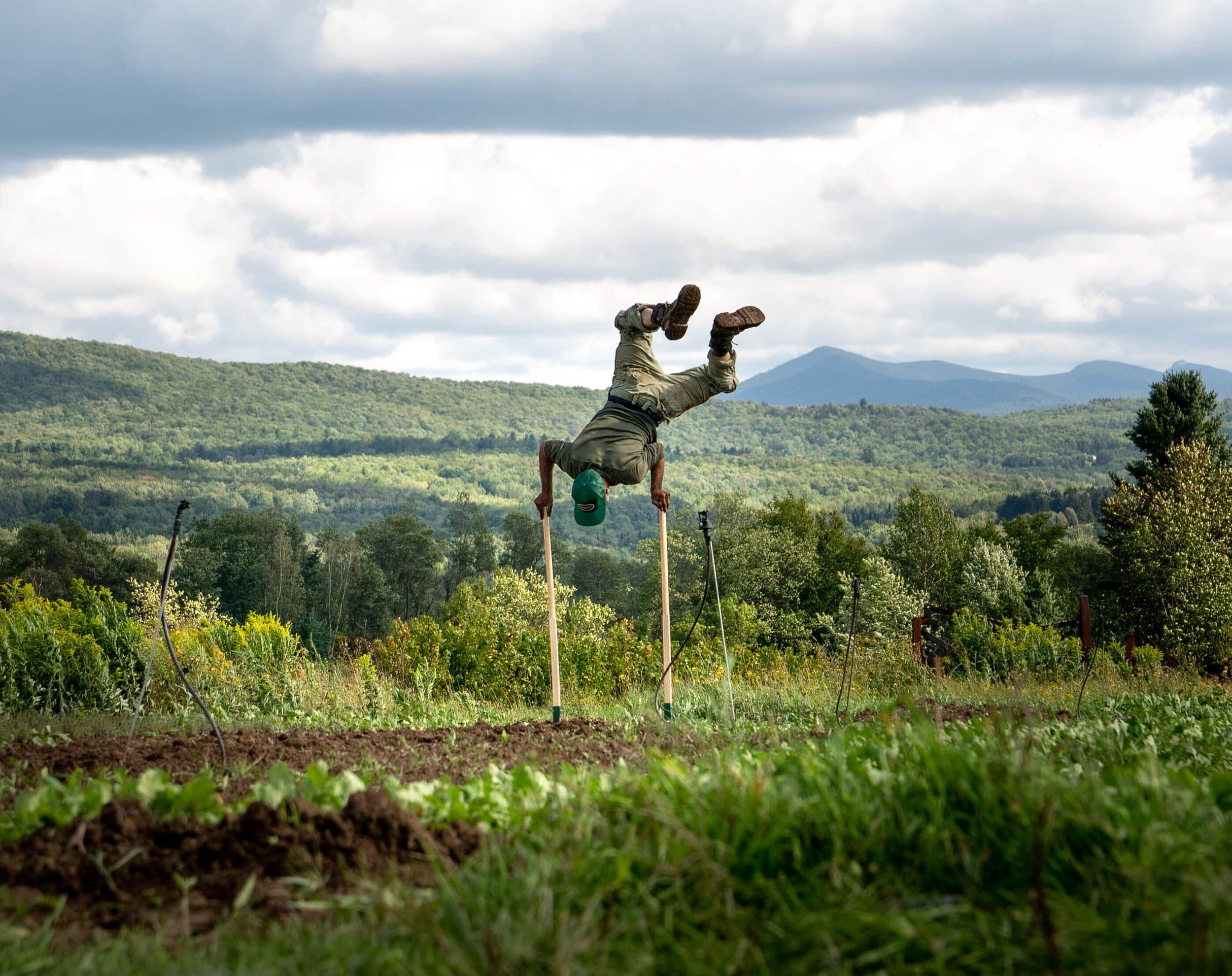 Farmer on a market garden with mountains in the background