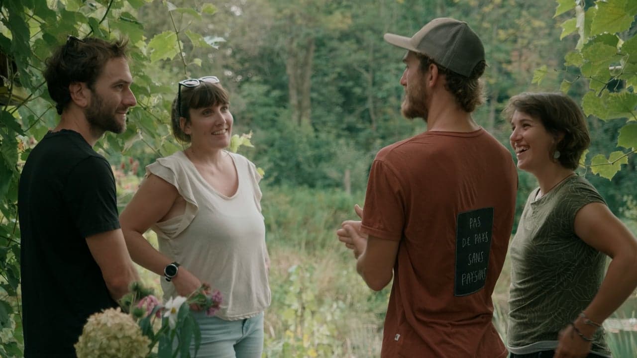 Aerial view of a farm at sunset